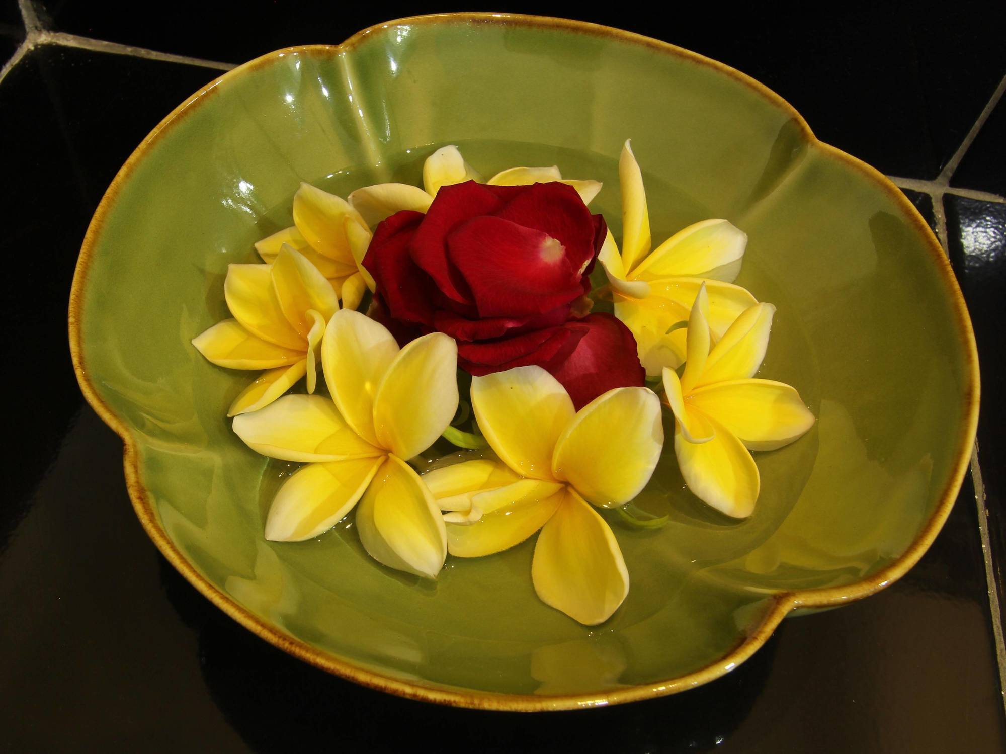 Frangipani Homestay Nusa Dua  Kültér fotó