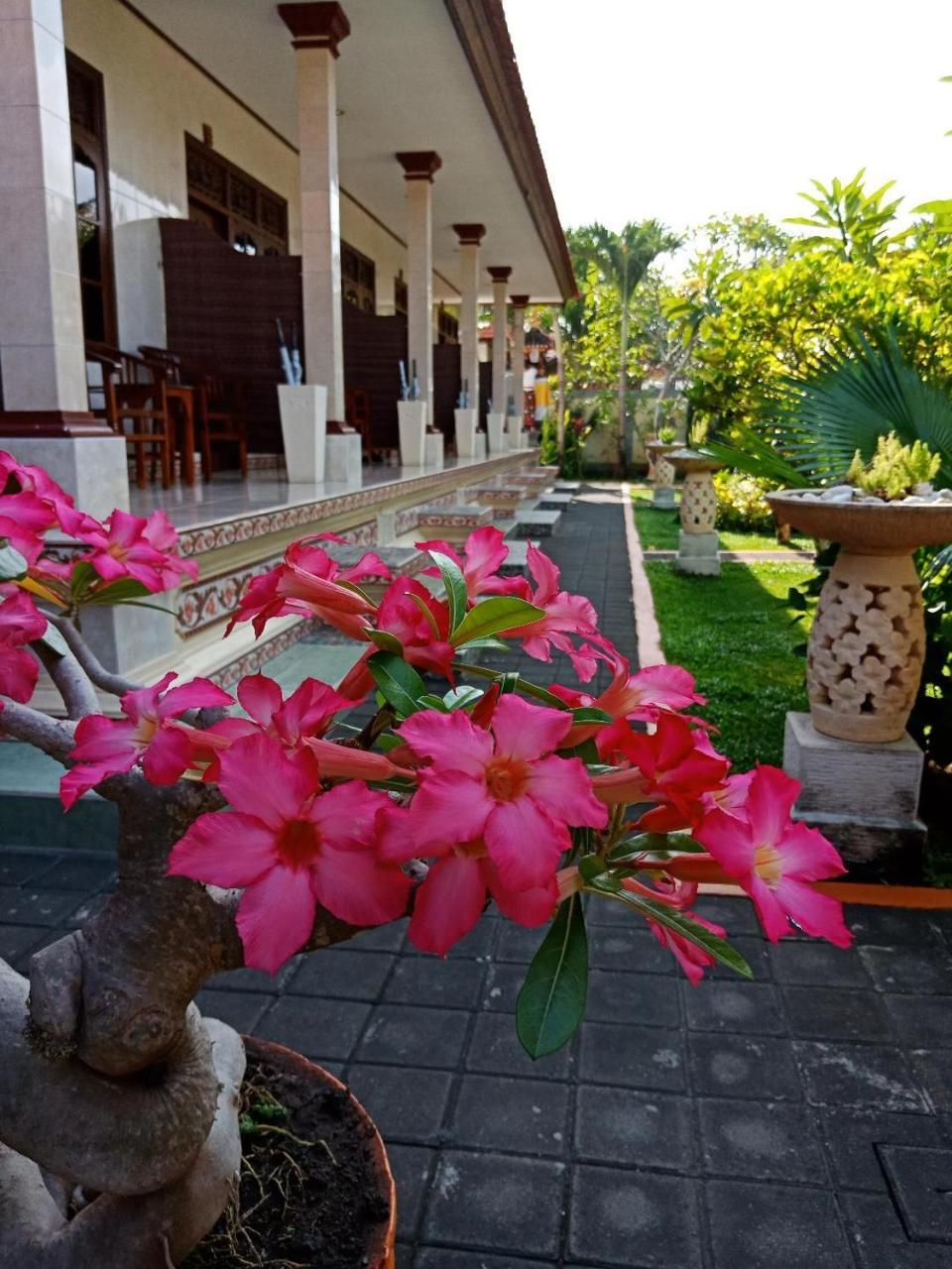 Frangipani Homestay Nusa Dua  Kültér fotó