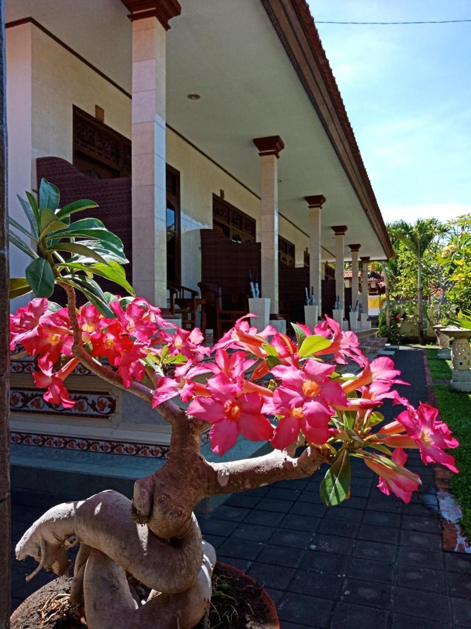 Frangipani Homestay Nusa Dua  Kültér fotó